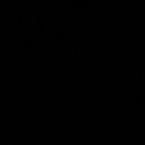 Meet your Posher, Gabriella